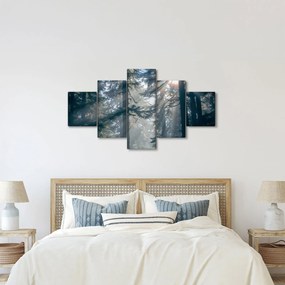 Obraz drzew, przez które prześwieca słońce (125x70 cm)