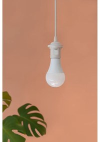 Żarówka opal UMAGE IDEA LED A+, 13W