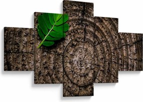 Obraz liścia na pniu drzewa (125x70 cm)
