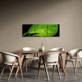 Obraz - zielony liść (z zegarem) (90x30 cm)