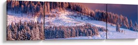 Obraz zimowego krajobrazu (170x50 cm)