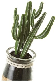 Sztuczne rośliny zestaw 4 szt. (wysokość 18 cm) Cactus – Casa Selección