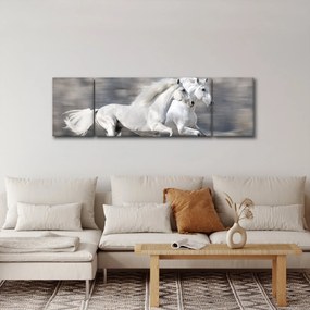 Obraz - Białe konie zimą (170x50 cm)