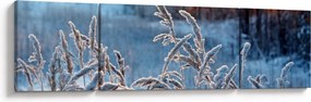 Obraz - Zimowa łąka (170x50 cm)