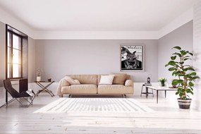 Dywan poliestrowy Dream Szaro-Kremowy 140 cm x 200 cm