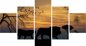 Obraz Safari (125x70 cm)