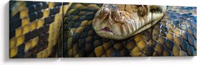 Obraz - Pyton (170x50 cm)