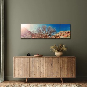 Obraz drzewa na pustyni (170x50 cm)