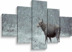 Obraz - Łoś w śnieżnym lesie (125x70 cm)