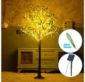 Aigostar - LED Dekoracja solarna 30xLED/2,6m IP65 ciepła biel oliwkowa