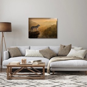 Obraz na szkle wilka na skale (70x50 cm)