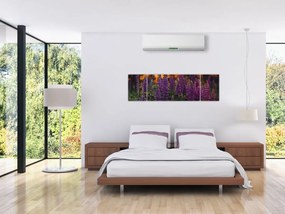 Obraz kwiatów łubinu (170x50 cm)
