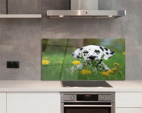 Szklany Panel Szczęśliwy Pies na Zielonej Łące