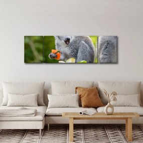 Obraz lemura (170x50 cm)