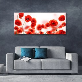 Obraz canvas na ścianę Czerwone Maki w Polu