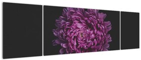 Obraz fioletowego kwiatu (170x50 cm)