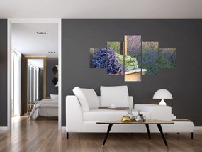 Obraz - Pęczki lawendy (125x70 cm)