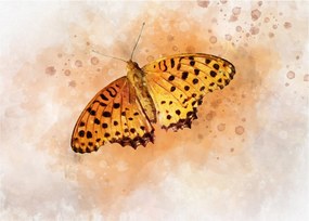 Obraz na szkle - Pomarańczowy motyl, akwarela (70x50 cm)