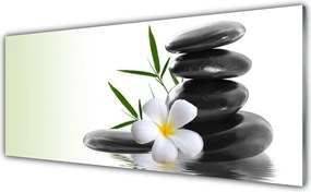 Szkło do Kuchni na Ścianę Kwiatowa Kompozycja Na Kamieniach