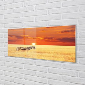 Panel nad Blat Kuchenny Zebra o Zachodzie Słońca