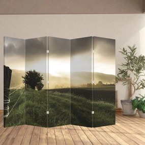 Parawan - Łąka (210x170 cm)