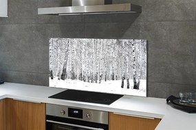 Szklany Panel Zimowy Las Brzozowy