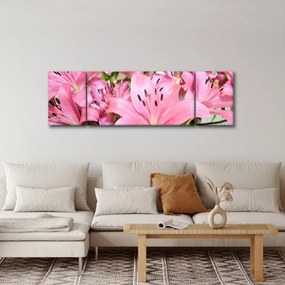 Obraz - Różowe lilie (170x50 cm)