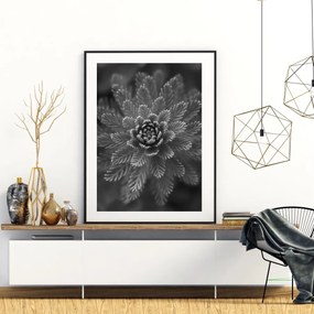 Plakat - Conifer Grey (A4)