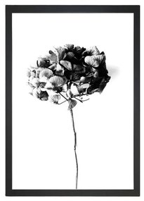 Obraz 24x29 cm Velvet Flower – Vavien Artwork