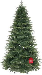 Świerk himalajski 150 cm