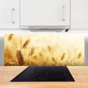 Szkło nad Blatem Łany Złotej Pszenicy