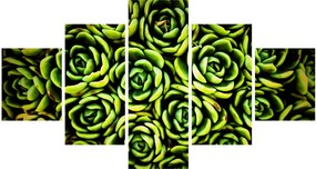 Obraz bez grzywki (125x70 cm)