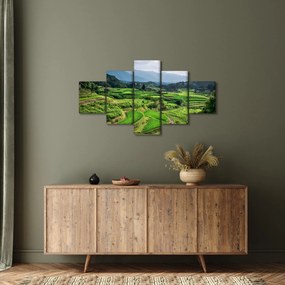 Obraz pól ryżowych (125x70 cm)