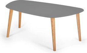 Stolik kawowy w stylu skandynawskim Endocarp Large