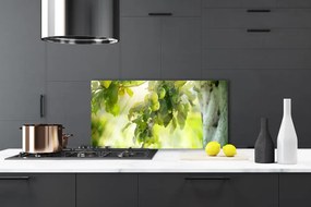 Panel Szklany Dojrzałe Jabłka Na Gałęzi