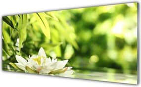 Panel Kuchenny Duet Kwiatu I Liści