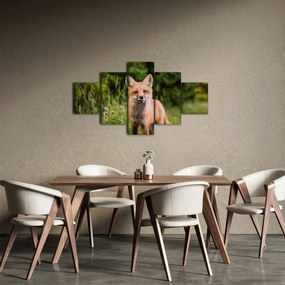 Obraz lisa (125x70 cm)