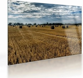 Obraz na szkle - zebrane pole zboża (70x50 cm)