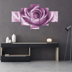 Obraz szczegółu kwiatu róży (125x70 cm)