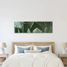 Obraz - Zielona agawa (170x50 cm)