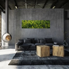 Obraz - Gęsty las (170x50 cm)