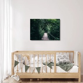 Obraz na szkle - Ścieżka przez las (70x50 cm)