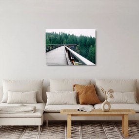 Obraz na szkle - Most do wierzchołków drzew (70x50 cm)