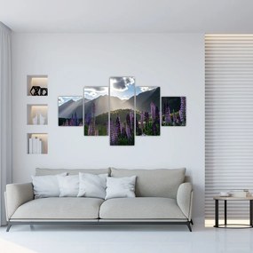 Obraz - Sceneria łubinów (125x70 cm)