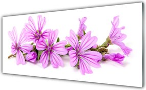 Szkło do Kuchni na Ścianę Wyrafinowany Motyw Roślinny