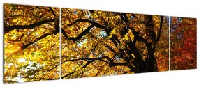 Obraz jesiennego drzewa (170x50 cm)