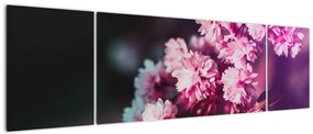 Obraz kwiatów drzewa (170x50 cm)