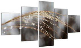 Obraz kropli na roślinie (125x70 cm)