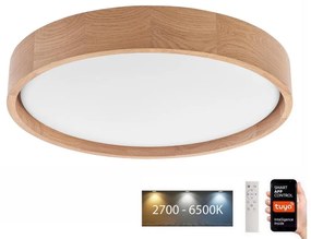 Brilagi - LED Plafon MANAROLA SMART LED/24W/230V + pilot Tuya