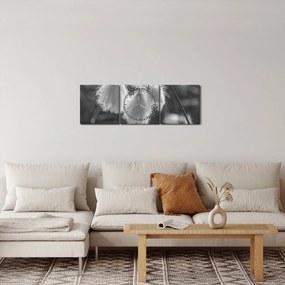 Obraz - Trawa bawełniana (z zegarem) (90x30 cm)